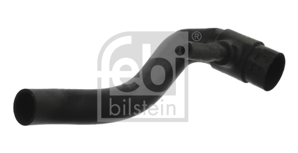 FEBI BILSTEIN 36781 Flessibile radiatore-Flessibile radiatore-Ricambi Euro