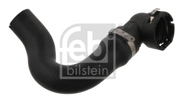FEBI BILSTEIN 37125 Flessibile radiatore-Flessibile radiatore-Ricambi Euro
