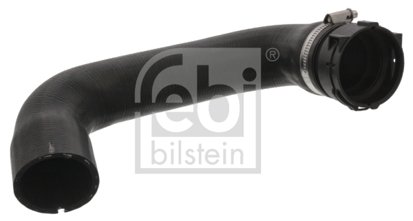 FEBI BILSTEIN 46244 Flessibile radiatore-Flessibile radiatore-Ricambi Euro