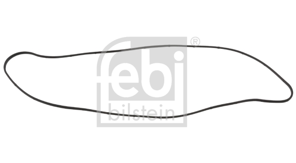 FEBI BILSTEIN 47406 Guarnizione, Copritestata