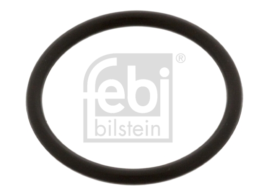 FEBI BILSTEIN 48674 Dichtung, Düsenhalter