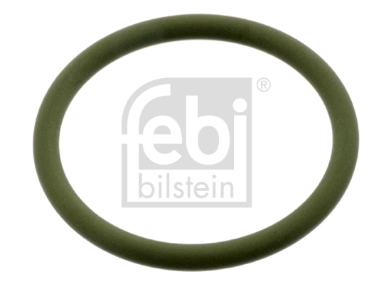 FEBI BILSTEIN 49087 Guarnizione, Pompa acqua