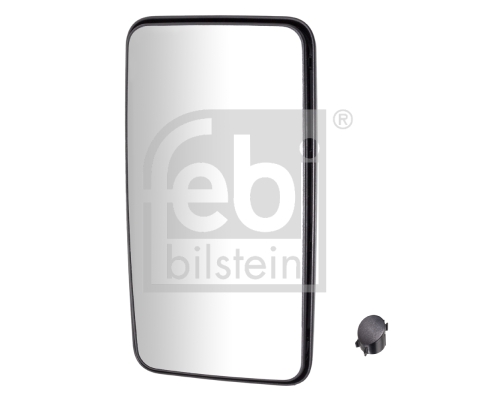 FEBI BILSTEIN 49972 Specchio esterno, Cabina-Specchio esterno, Cabina-Ricambi Euro