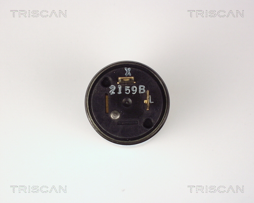 TRISCAN 1000 HD12 Blinkgeber