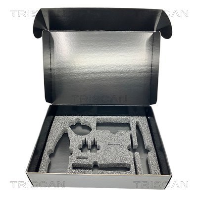 TRISCAN 4029 Reparatursatz, Steinschlag (Scheibe)