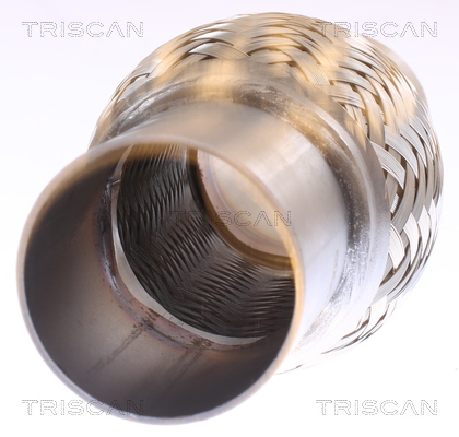 TRISCAN 7000 10009 Flexrohr, Abgasanlage