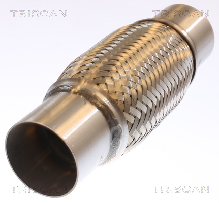 TRISCAN 7000 10031 Flexrohr, Abgasanlage