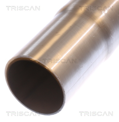 TRISCAN 7000 10077 Flexrohr, Abgasanlage