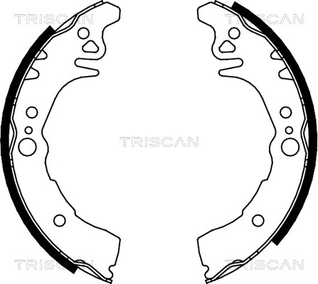TRISCAN 8100 10026...