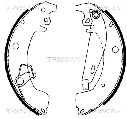 TRISCAN 8100 10031...