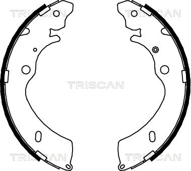 TRISCAN 8100 10033...