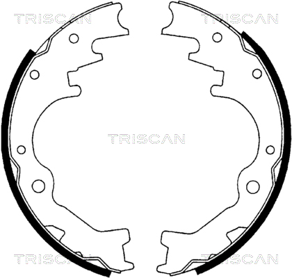 TRISCAN 8100 10035...