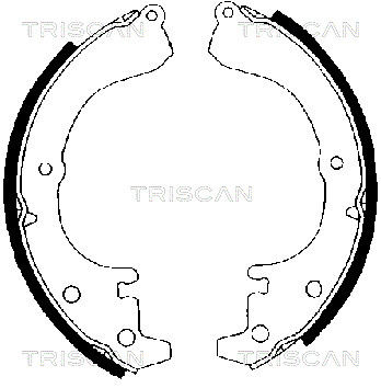 TRISCAN 8100 10216 Bromsbackar, sats