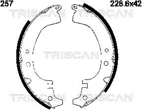 TRISCAN 8100 10257...