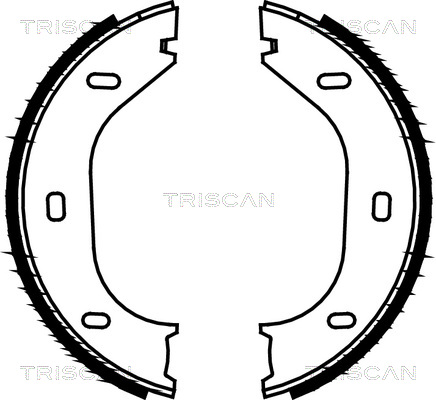 TRISCAN 8100 10290 Bromsbackar, sats, parkeringsbroms