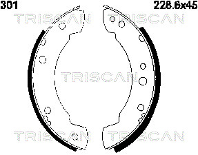 TRISCAN 8100 10301...