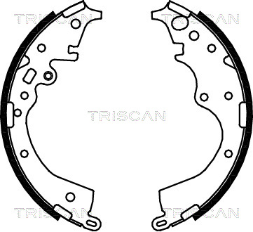 TRISCAN 8100 13043...
