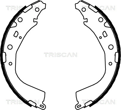 TRISCAN 8100 13053...