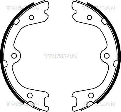 TRISCAN 8100 14008 Bromsbackar, sats, parkeringsbroms