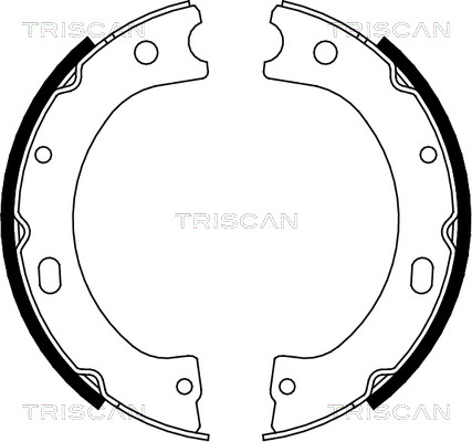 TRISCAN 8100 14011 Bromsbackar, sats, parkeringsbroms