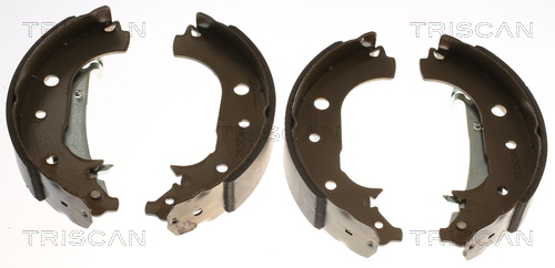 TRISCAN 8100 16016 Bremsbackensatz