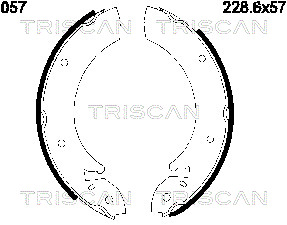 TRISCAN 8100 16057...