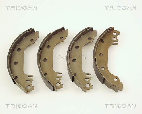 TRISCAN 8100 16291...
