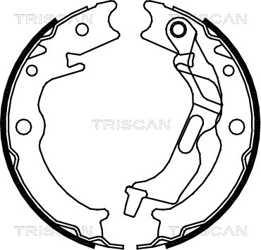 TRISCAN 8100 21001 Bromsbackar, sats, parkeringsbroms