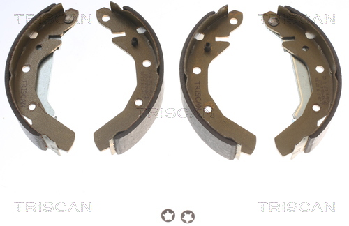 TRISCAN 8100 21610 Bremsbackensatz