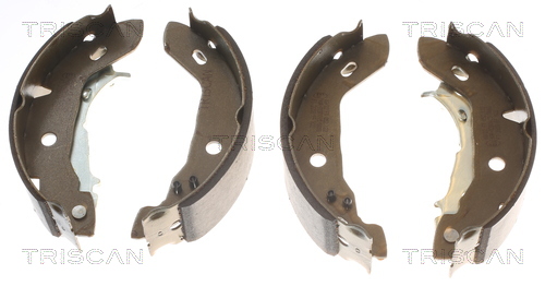 TRISCAN 8100 23122 Bremsbackensatz