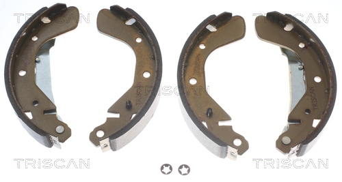 TRISCAN 8100 24539 Bremsbackensatz