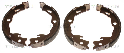 TRISCAN 8100 25009 Bremsbackensatz, Feststellbremse
