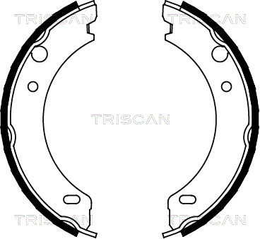 TRISCAN 8100 27538 Bromsbackar, sats, parkeringsbroms