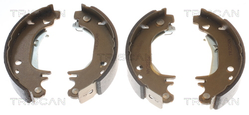 TRISCAN 8100 28055 Bremsbackensatz
