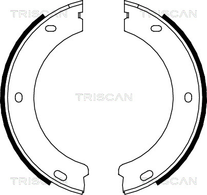 TRISCAN 8100 28522 Bromsbackar, sats, parkeringsbroms