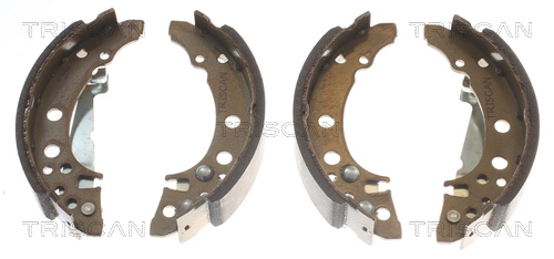 TRISCAN 8100 29001 Bremsbackensatz