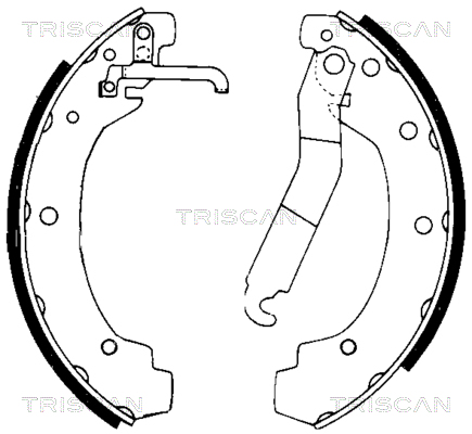 TRISCAN 8100 29004...