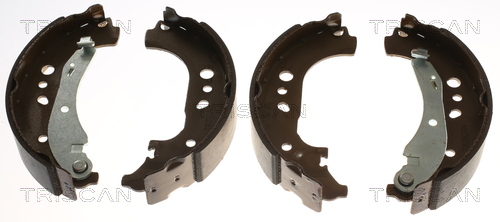 TRISCAN 8100 29005 Bremsbackensatz