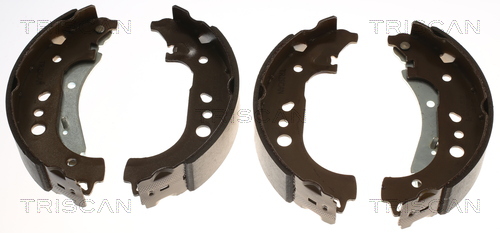 TRISCAN 8100 29005 Bremsbackensatz