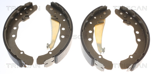 TRISCAN 8100 29530 Bremsbackensatz