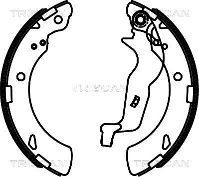 TRISCAN 8100 40010...