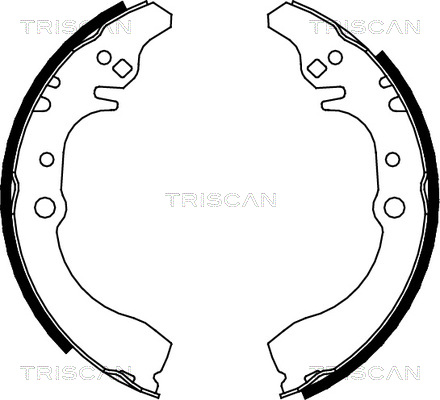 TRISCAN 8100 41617...