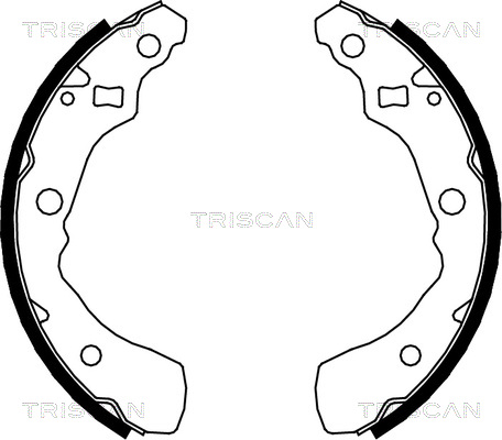 TRISCAN 8100 41618...