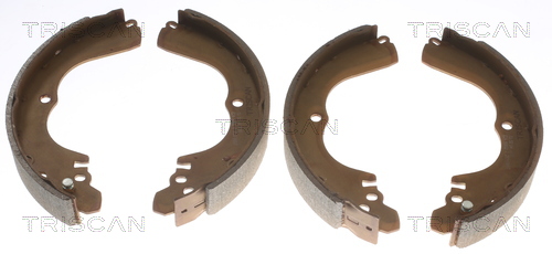 TRISCAN 8100 42017 Bremsbackensatz