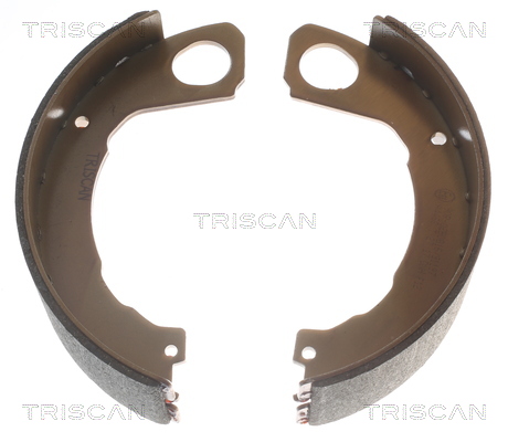 TRISCAN 8100 42022 Bremsbackensatz, Feststellbremse