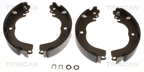 TRISCAN 8100 42023 Bremsbackensatz