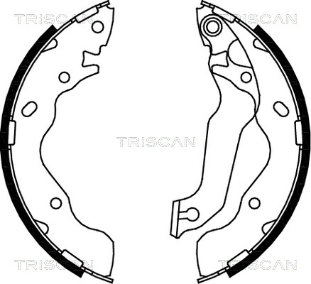 TRISCAN 8100 43015 Bromsbackar, sats, parkeringsbroms