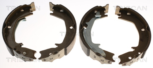TRISCAN 8100 43016 Bremsbackensatz, Feststellbremse