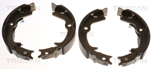 TRISCAN 8100 43023 Bremsbackensatz, Feststellbremse