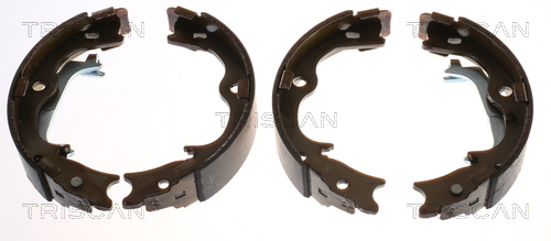 TRISCAN 8100 43029 Bremsbackensatz, Feststellbremse